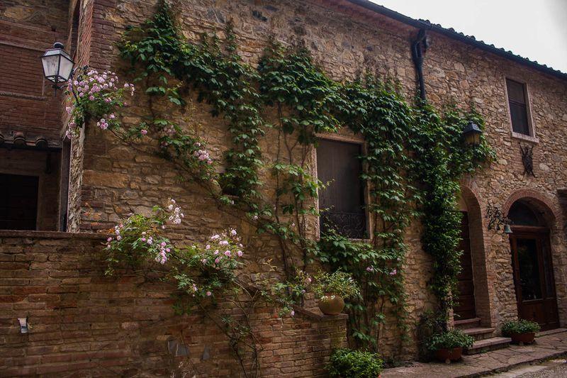 Tenuta La Bandita Sassetta Eksteriør bilde
